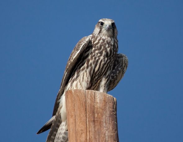 Łączymy tych, którzy chcą uczynić świat lepszym miejscem